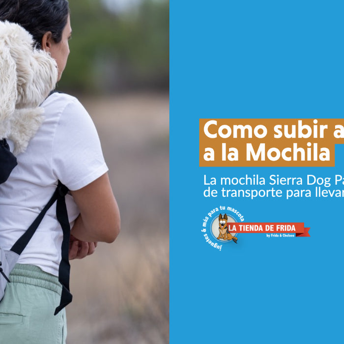 Tutorial: Como meter a tu perro y sin ayuda a la Mochila Sierra Dog Pack