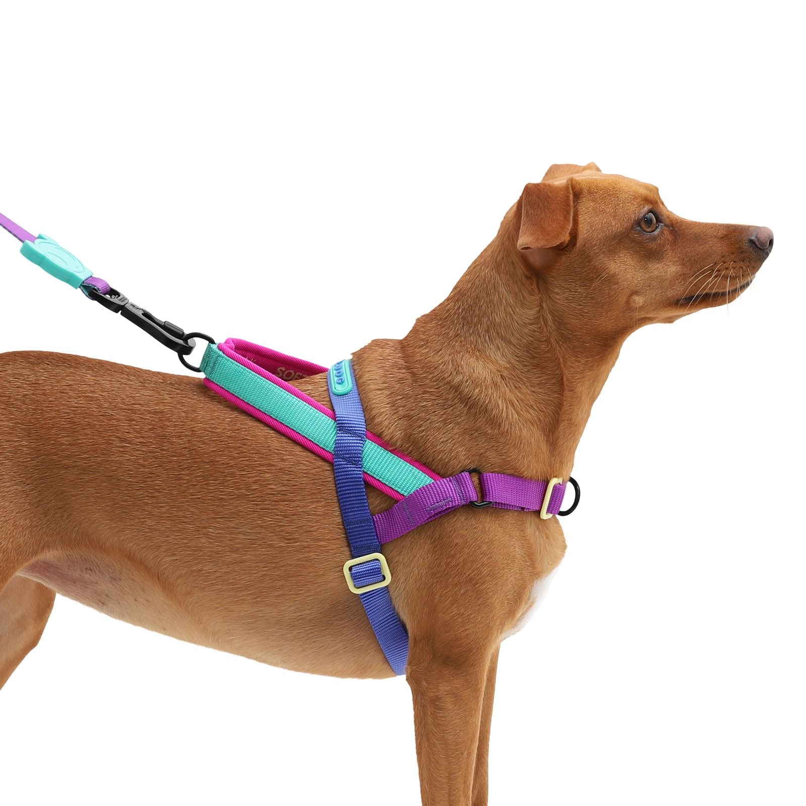 Arnés para Perros Shockwave - Softer Walk Harness Zee.Dog
