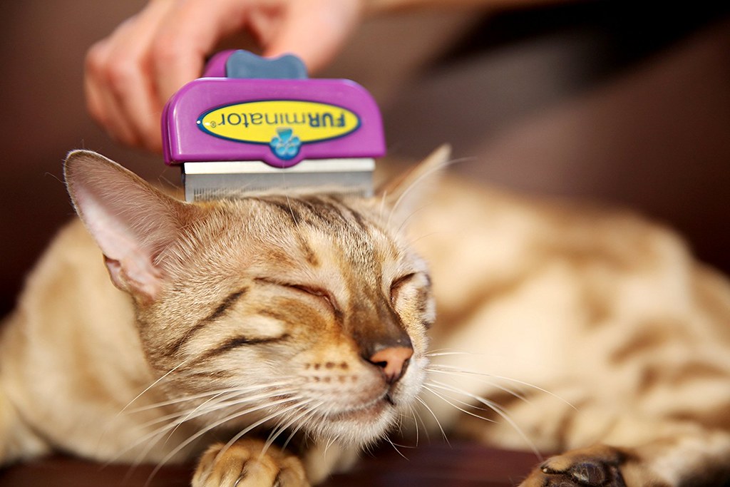 Cepillo Furminator para Gato de Pelo Corto
