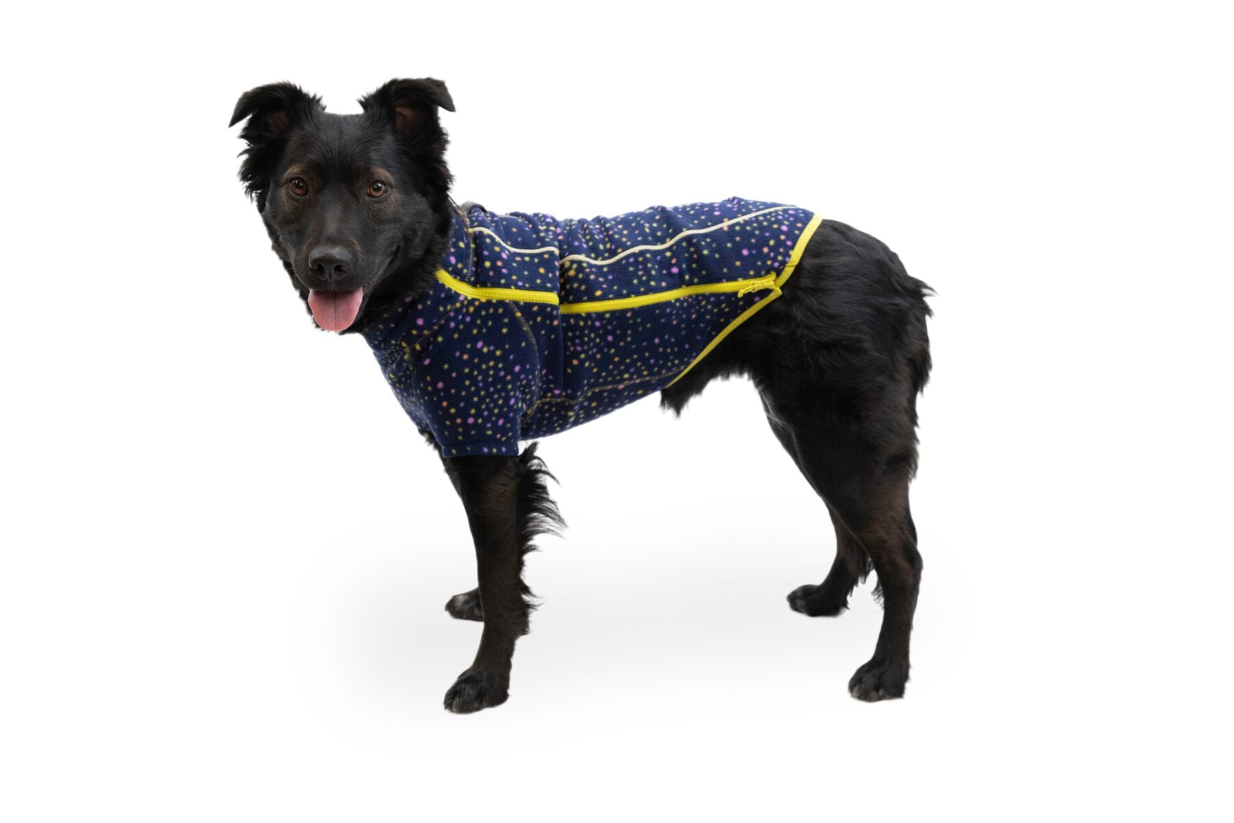 Climate Changer® Galaxy Suéter de Felpa para Perros de Ruffwear