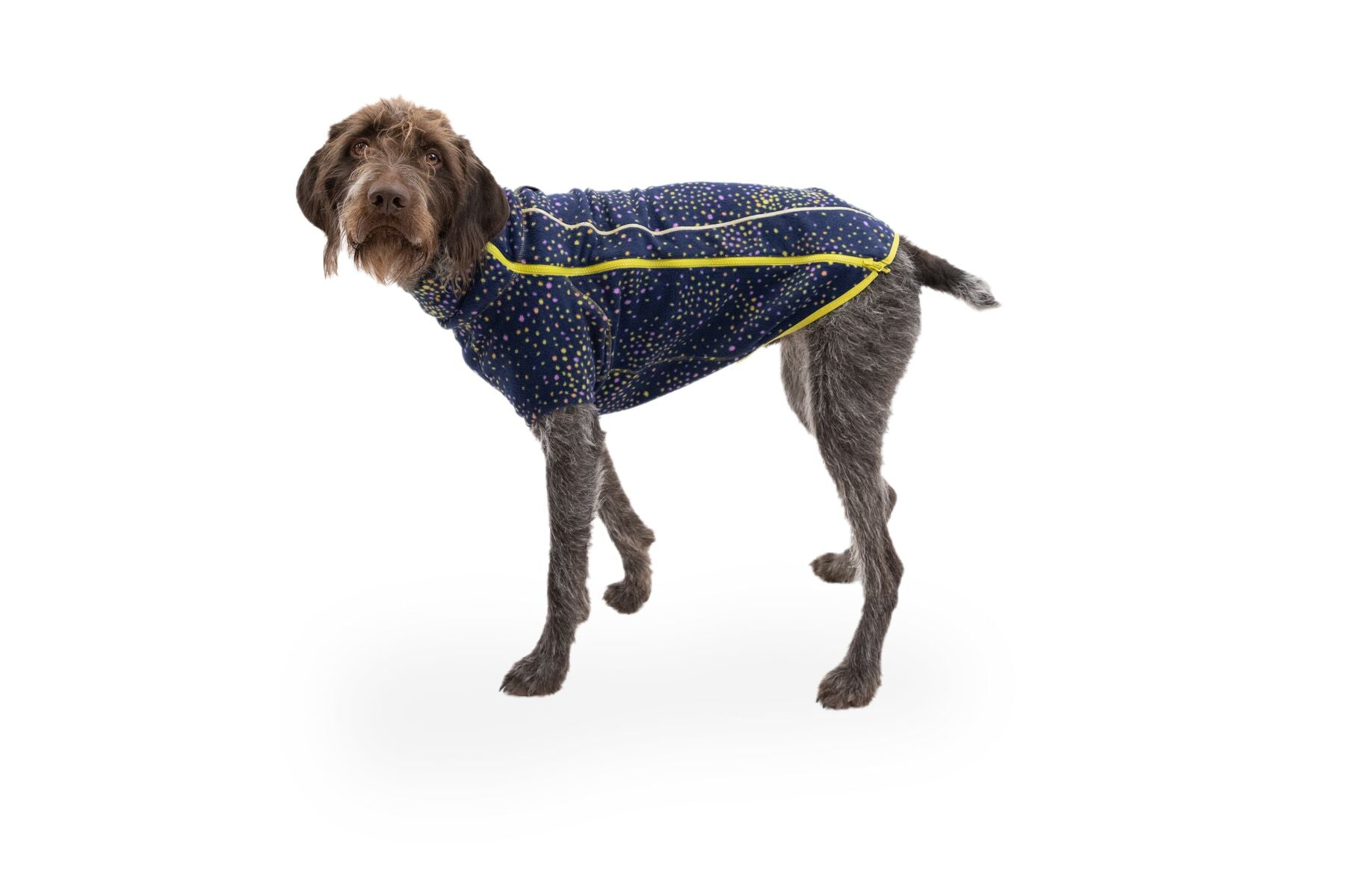 Climate Changer® Galaxy Suéter de Felpa para Perros de Ruffwear