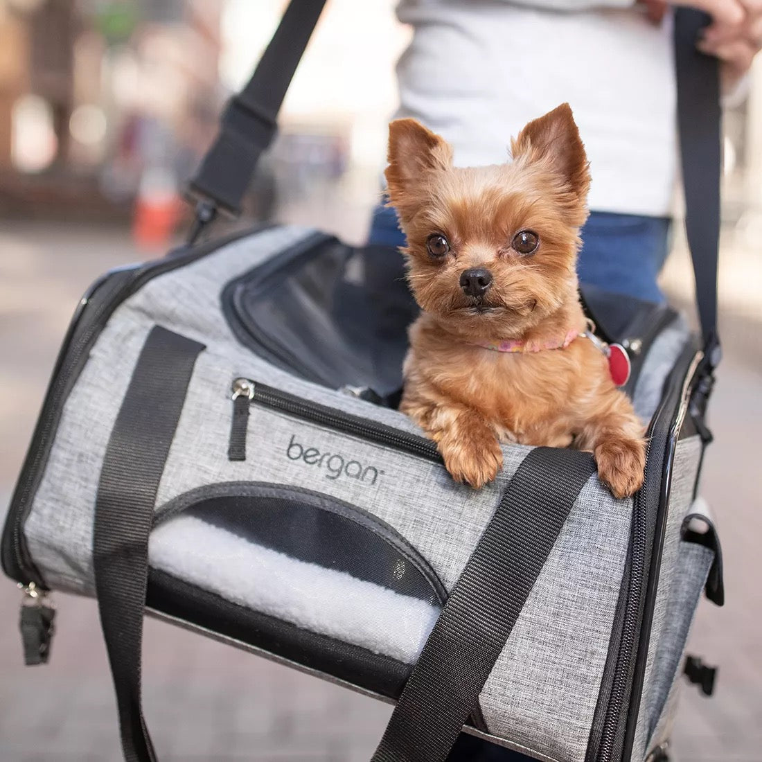 Transportadora y Silla Elevada Booster para Perros en Color Gris - Booster Pet Carrier de Bergan
