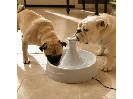 Drinkwell® 360 Plastic Fountain -Fuente de Agua Automática para Perros
