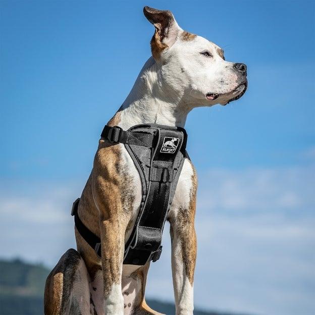 Pechera Negra para Perros para Que Viaje Seguro - Tru-Fit Smart Harness de Kurgo