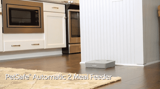 Automatic 2 Meal Pet Feeder - Alimentador Automático para Perros