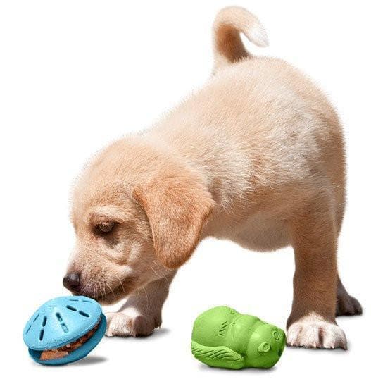 Juguete Para Perro Cachorro Busy Buddy® Puppy Squirrel Dude