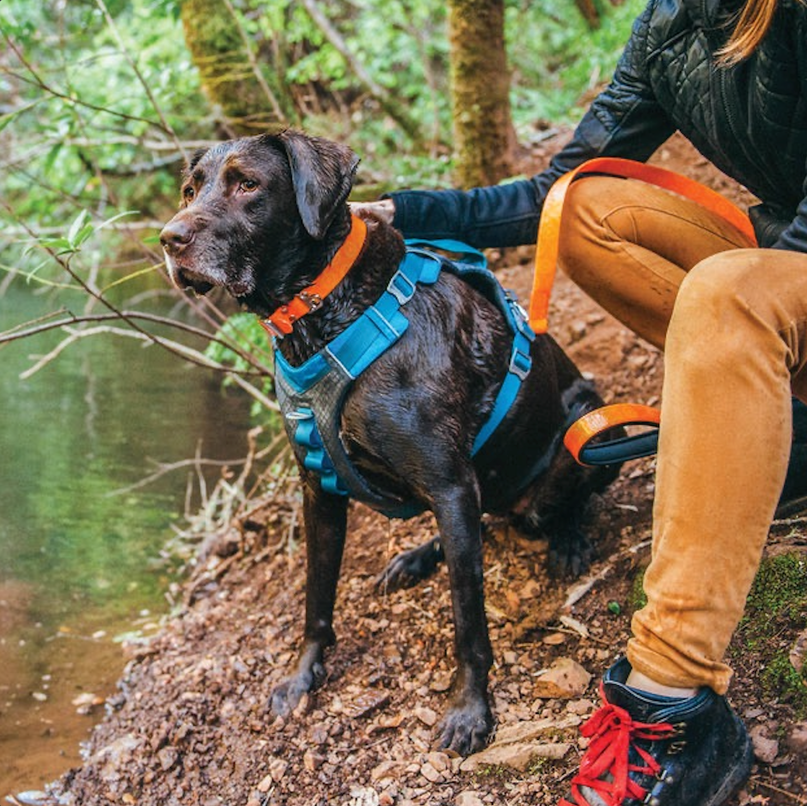 Journey AIR Dog Harness de Kurgo en Rojo