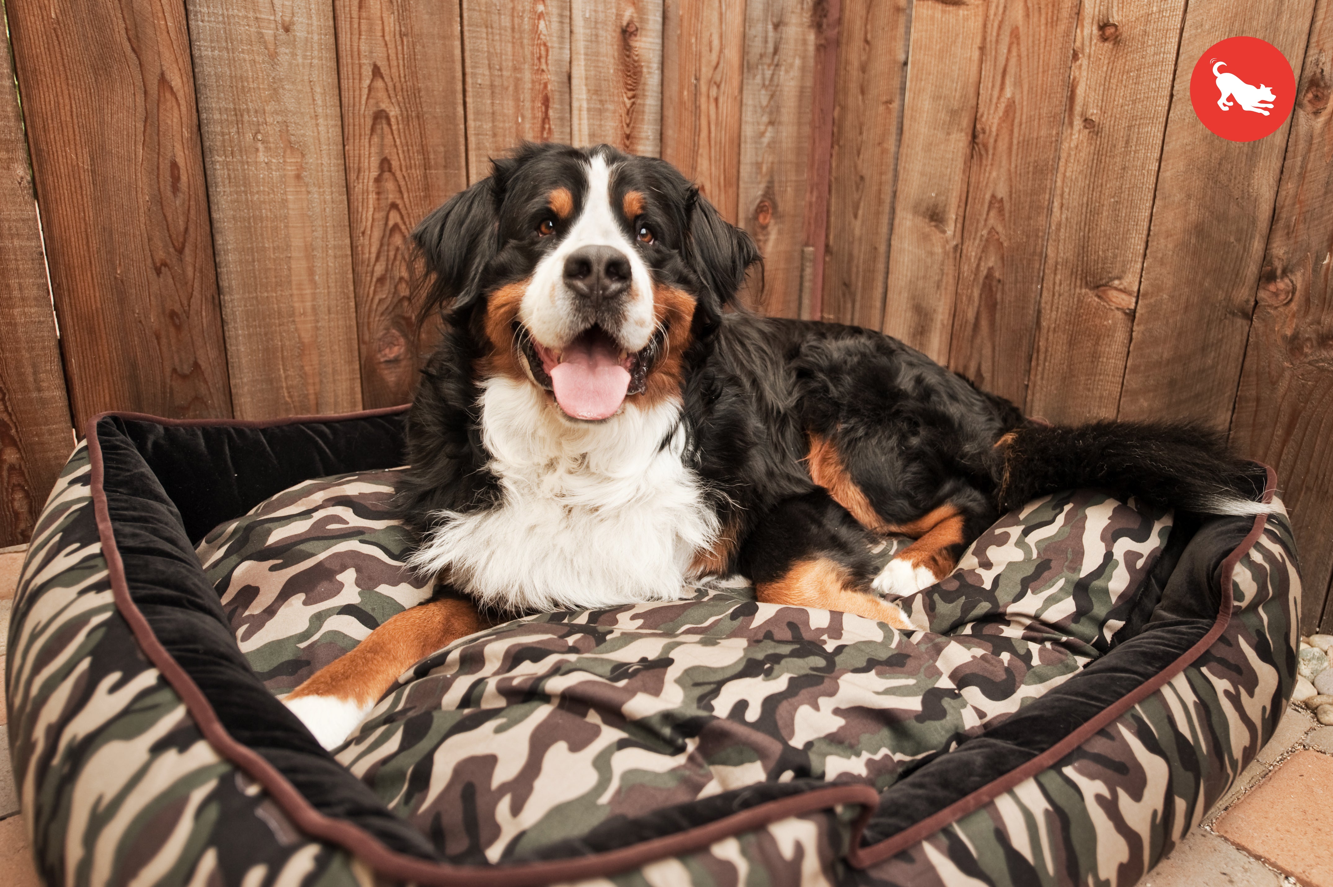 Cama Para Perros Camouflage Lounge Bed Tradicional de Pet P.L.A.Y.