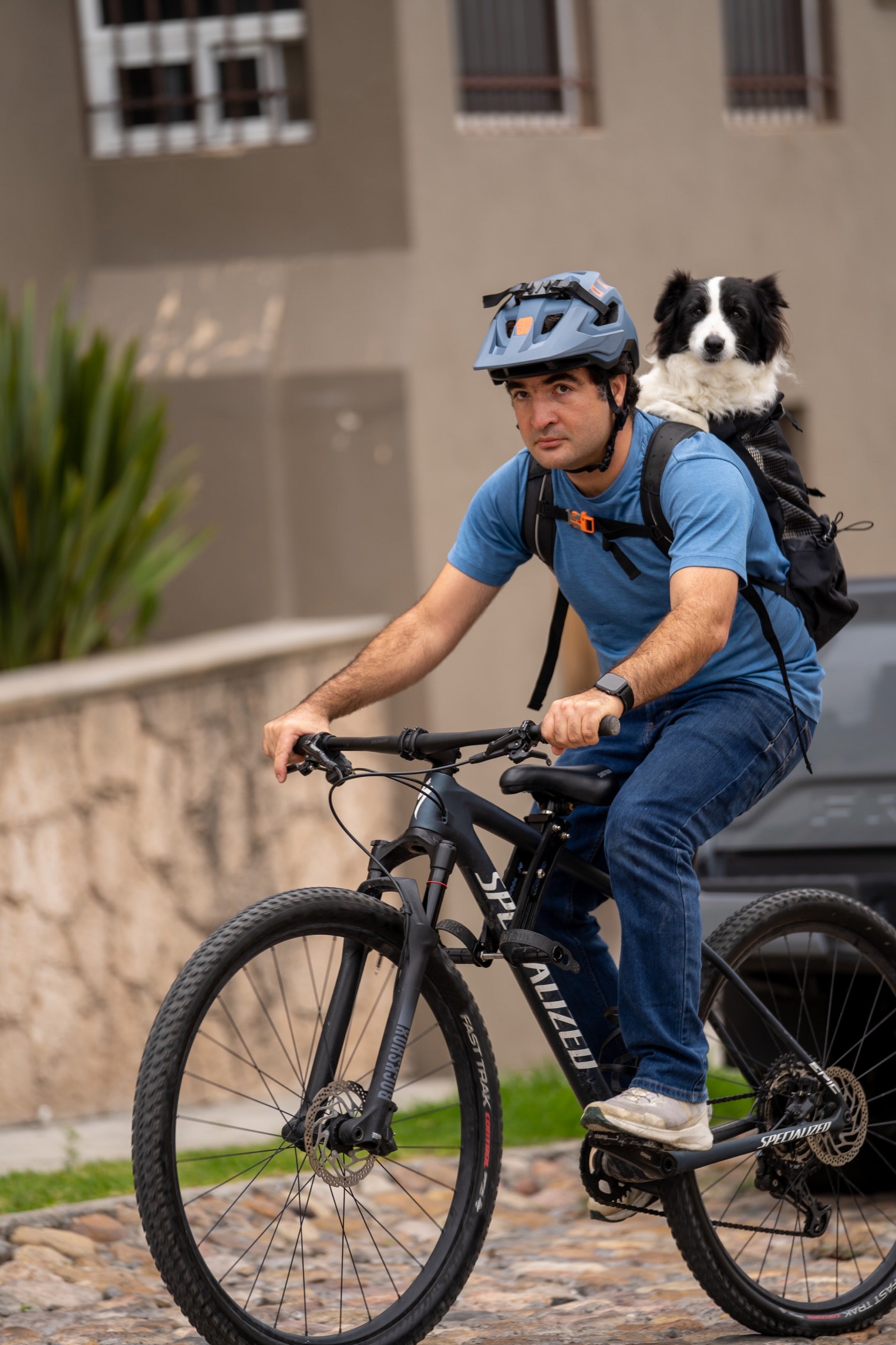 Mochila Gris Ultra Ligera en 4 Medidas para Transportar a tu Perro - Sierra Dog Pack