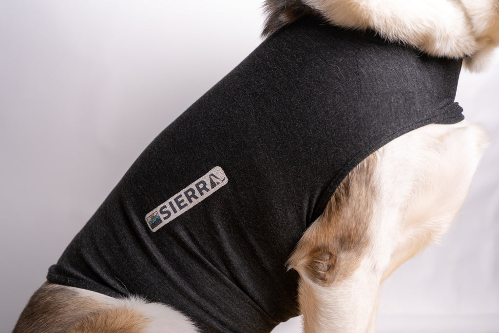 Chaleco Antiestrés para Perros Calma la Ansiedad en Perros - Sierra Dog Calm Coat