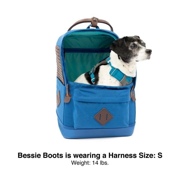 Mochila Backpack Azul para Perros y Gatos de hasta 7 kg - Nomad Carrier de Kurgo®