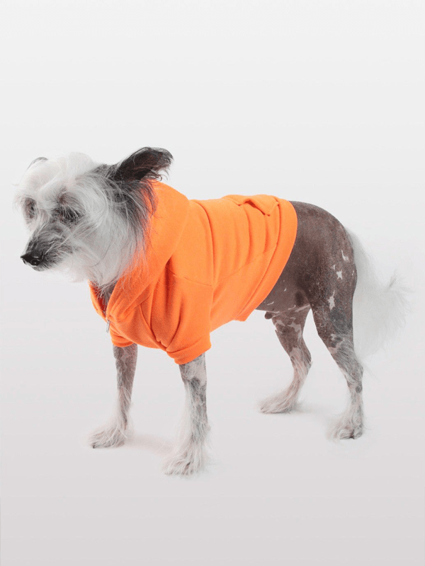 Hoodie Para Perro en Color Naranja Neon