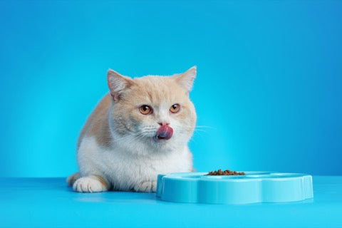 MINI 2-en-1 Plato para Comer Lento y Lick Mat en Azul de PetDreamHouse