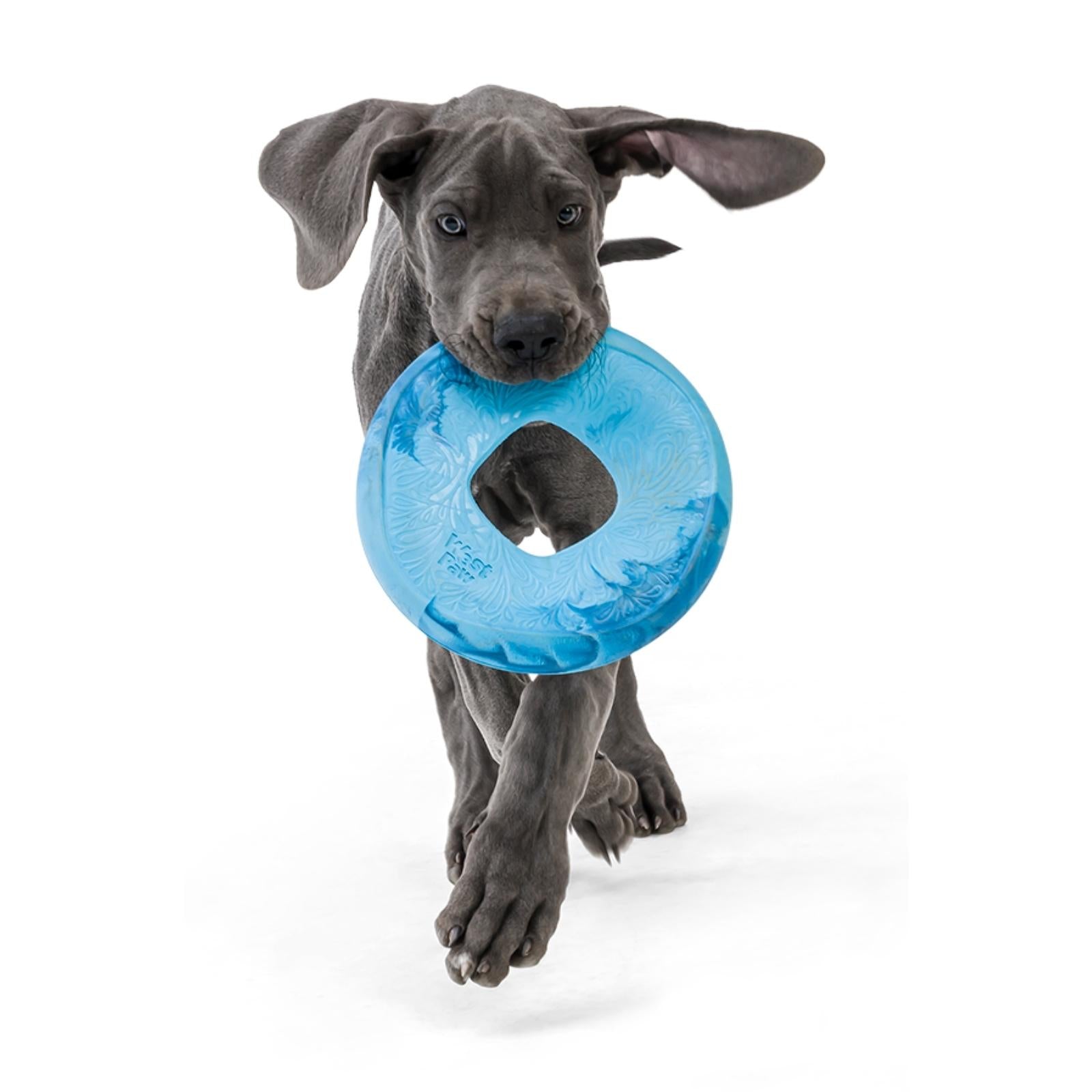 SAILZ de West Paw® color Azul Surf - Frisbee para Perros