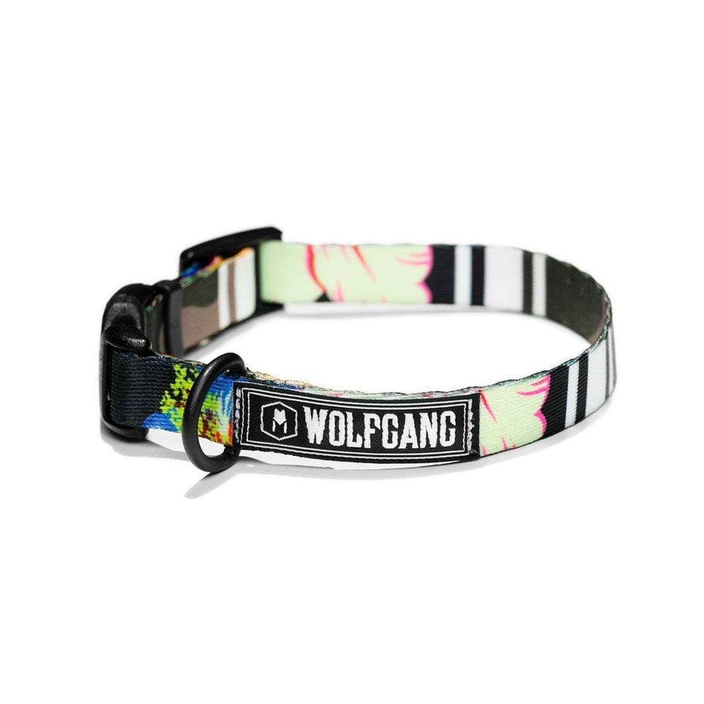 Collar Para Perros StreetLogic de Wolfgang Man & Beast