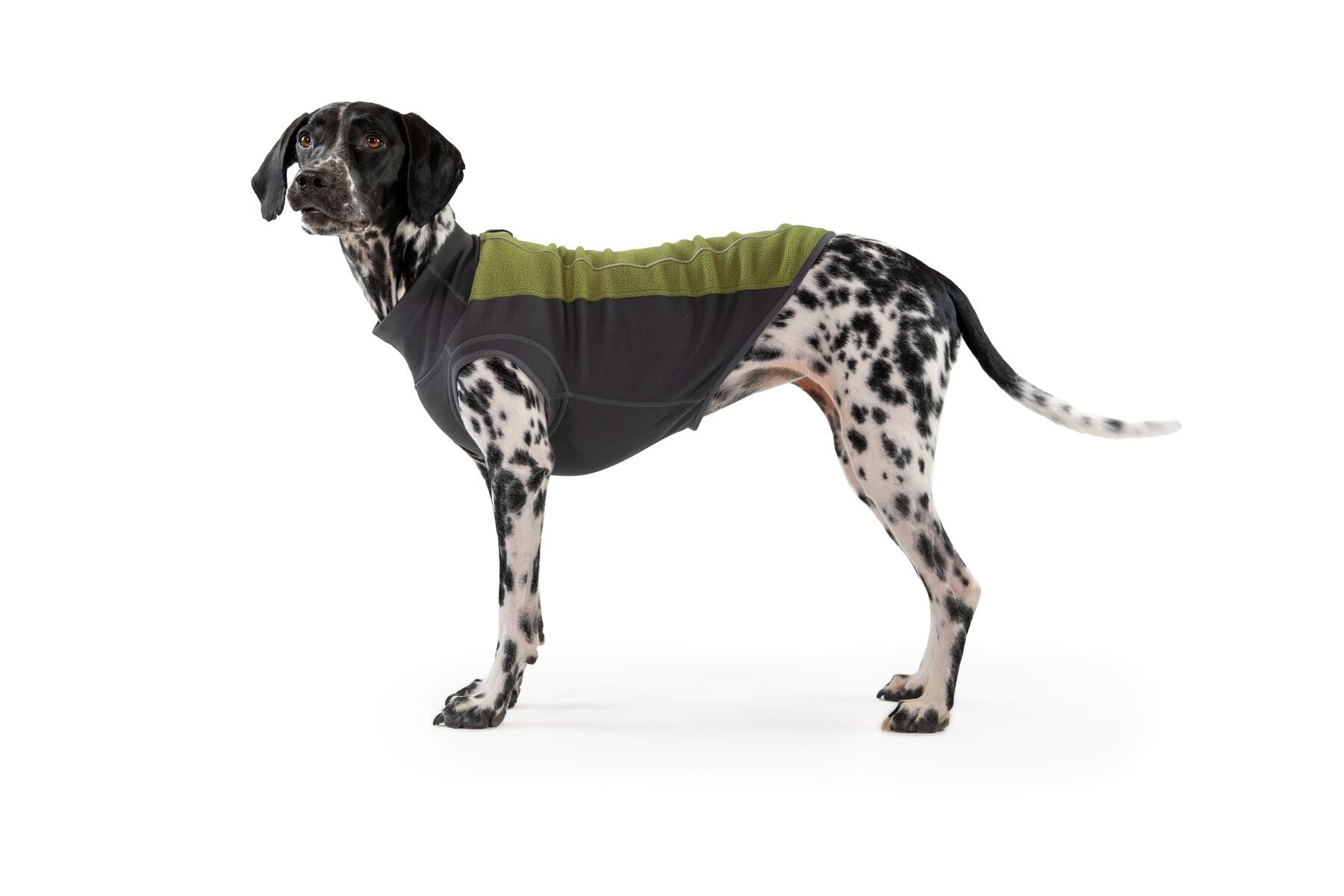 Pullover Climate Changer® en Verde Cedro Suéter para Perros de Ruffwear®
