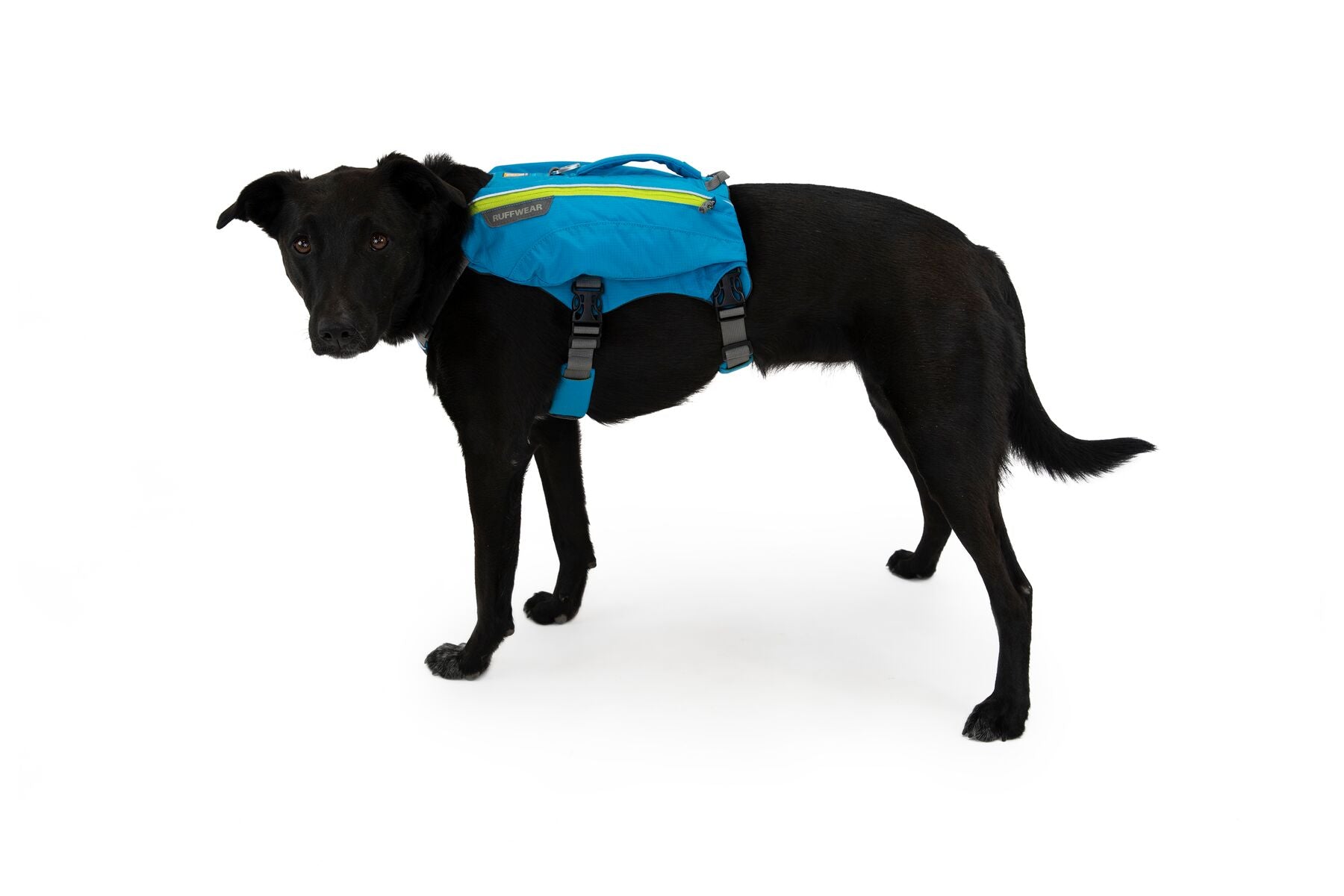Alforja para Perros para Hidratación Singletrak Pack® Azul - Ruffwear