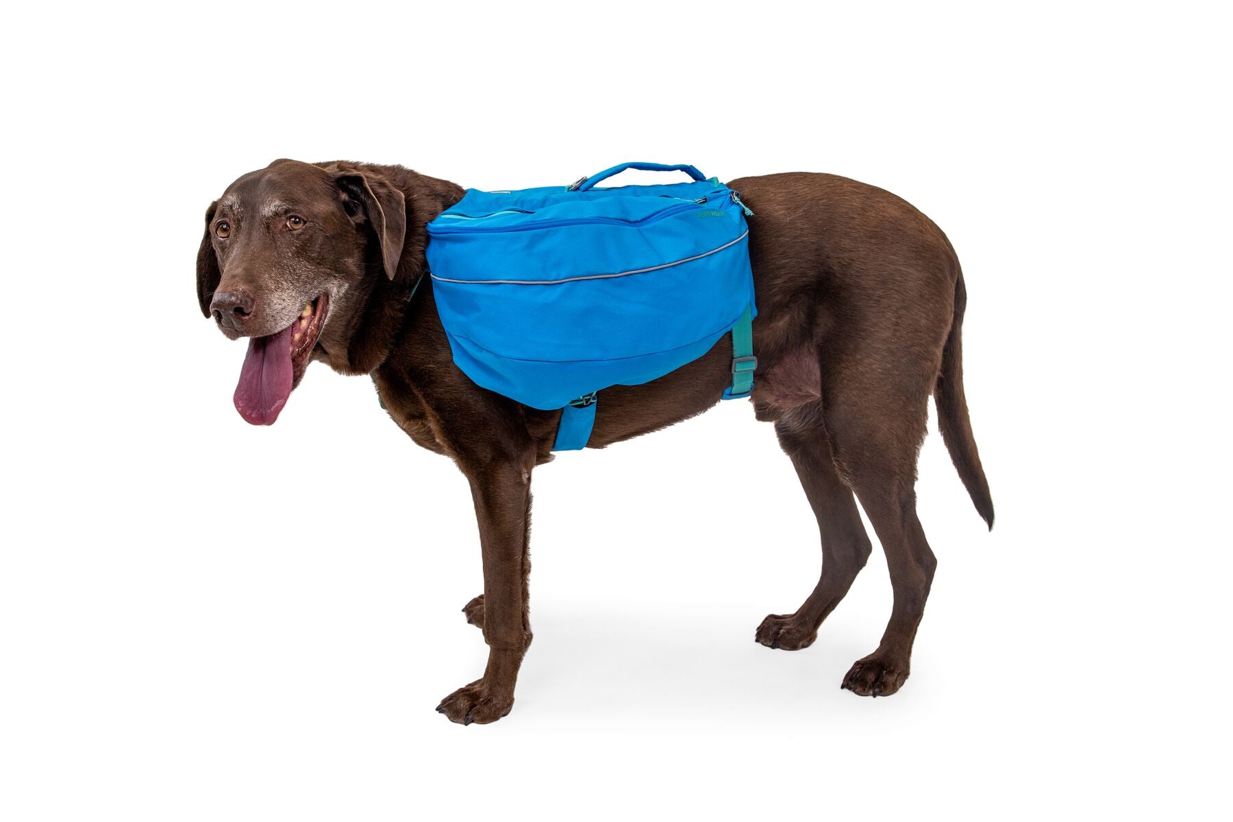 Alforja para Perros Approach Pack en Azul (Blue Dusk) de Ruffwear