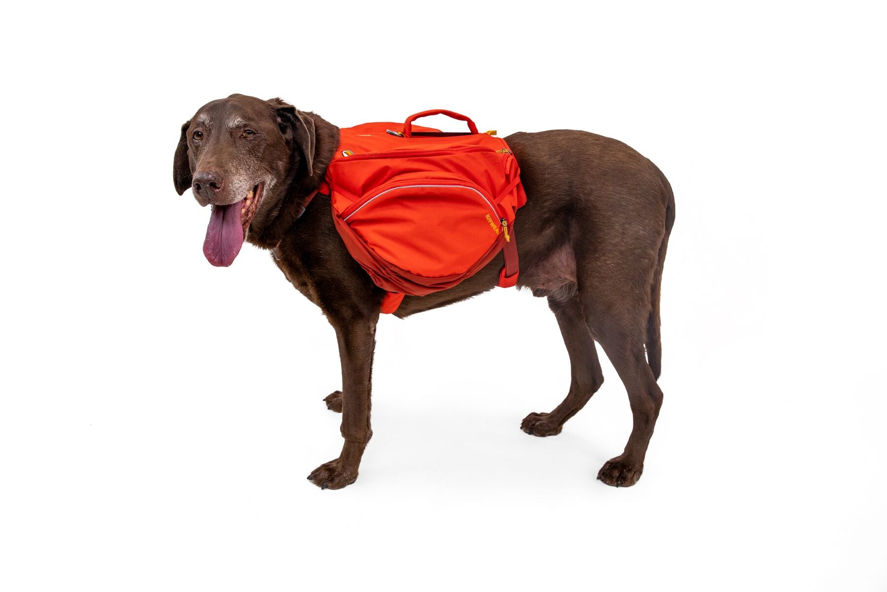 2 en 1 Alforja de Hidratación & Pechera para Perros Palisades Backpack de Ruffwear