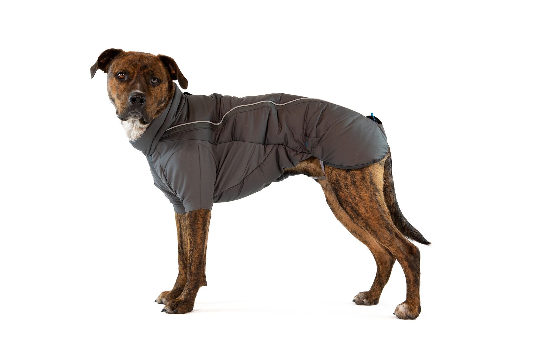 Furness Chamarra para Perros Ultratérmica de Alta Cobertura en Gris (Twilight Gray) de Ruffwear