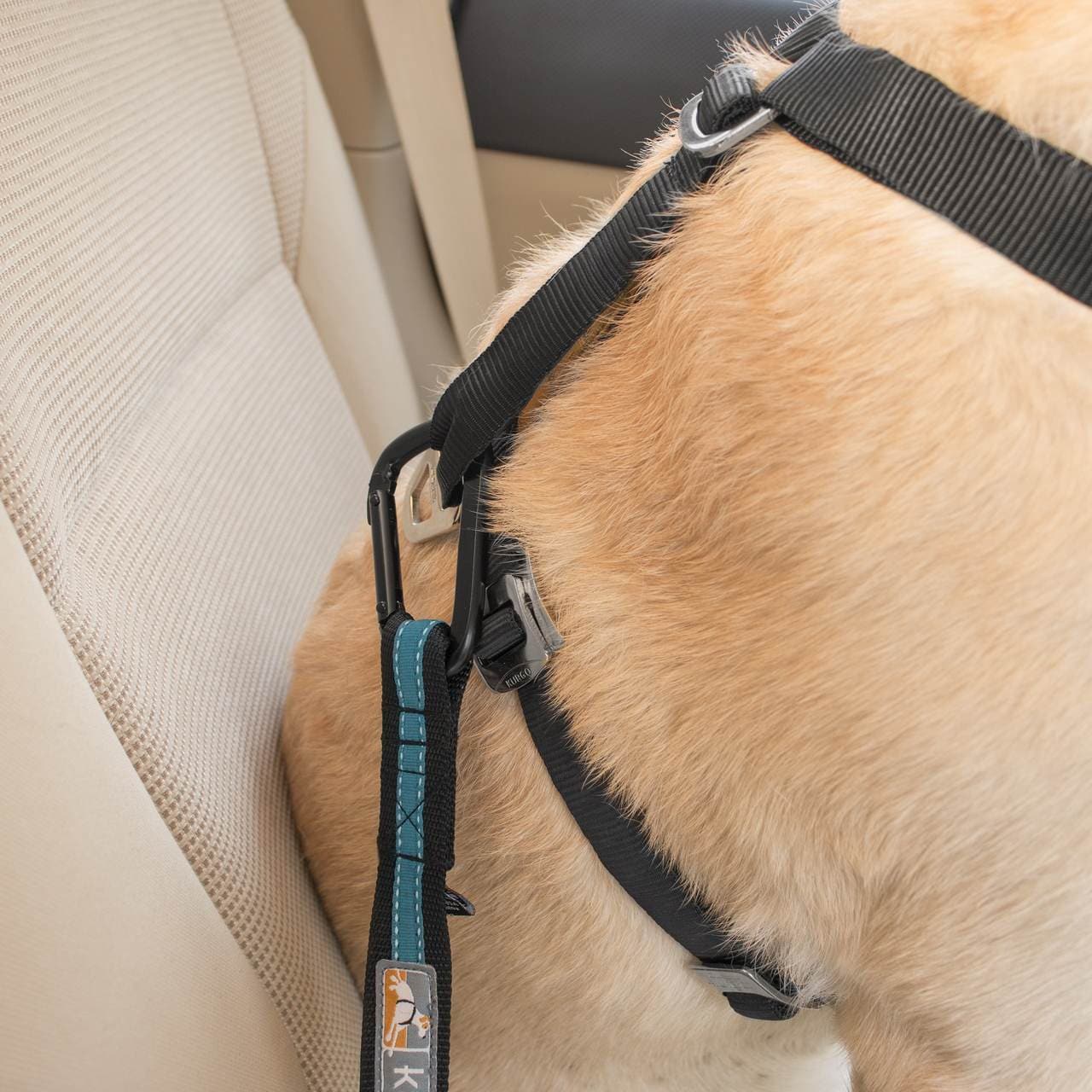 Cinturón De Seguridad p/Perros p/el auto - AZUL Kurgo® Direct to Seat Belt