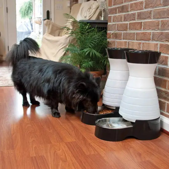Healthy Pet Water Station -Dispensador de Agua para Perros y Gatos