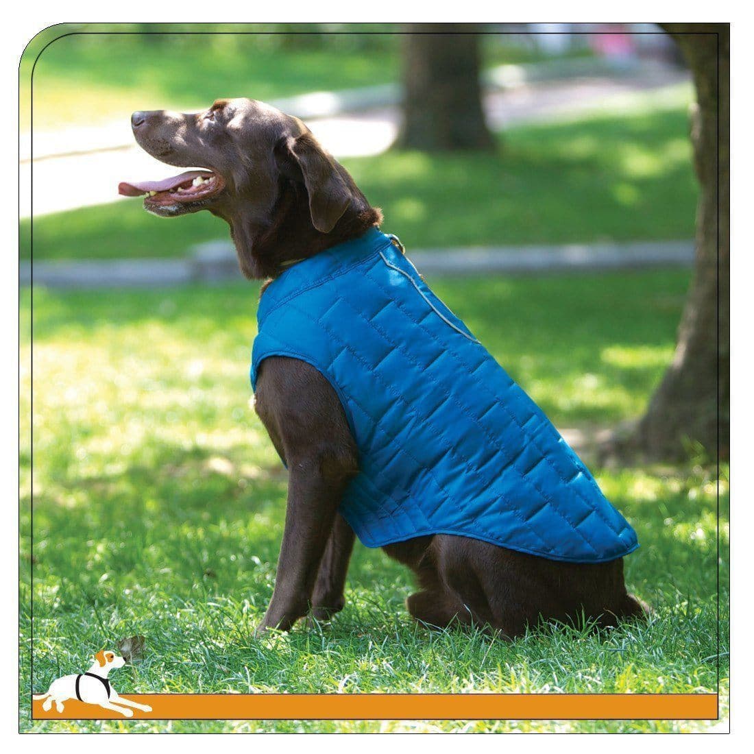 Chamarra Reversible Impermeable para Perro Floral / Magenta