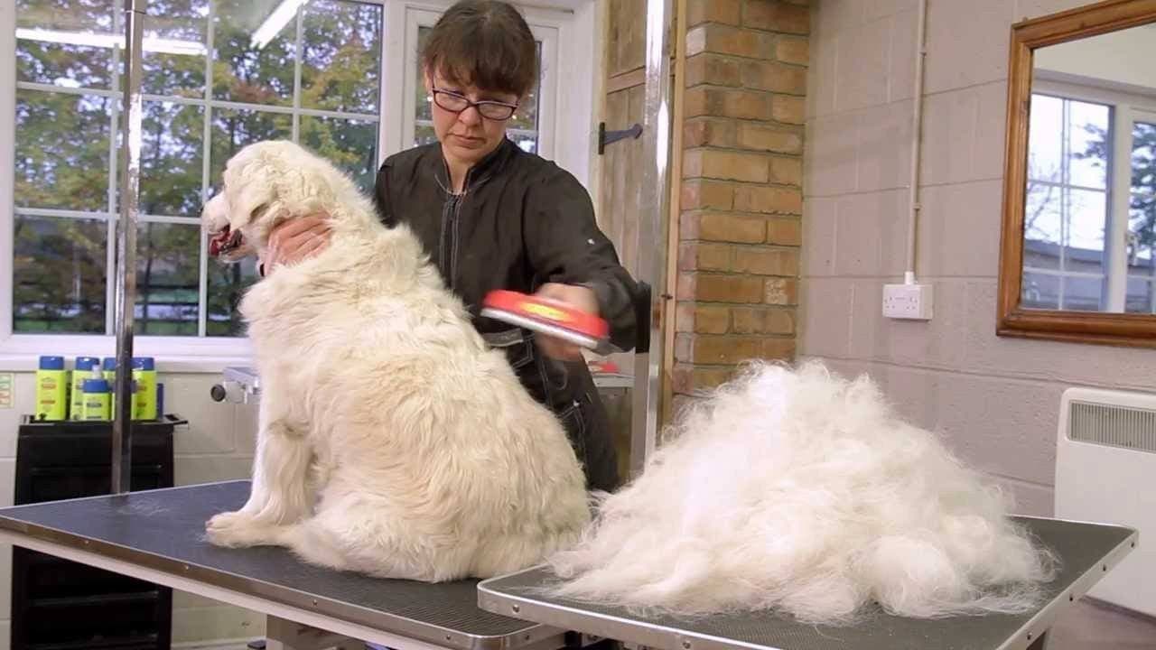 Cepillo Deslanador Furminator para Perro Chico de Pelo Corto