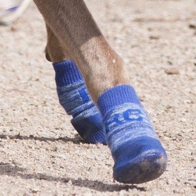 Sport PAWks Amarillos - Calcetines / Botas para Perros (4 Calcetines)