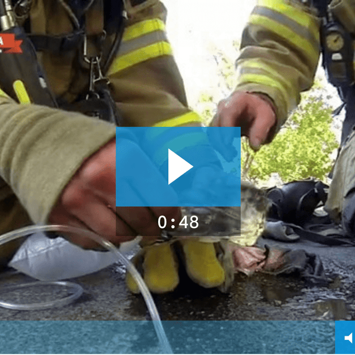 Este Bombero Hace Algo Asombroso