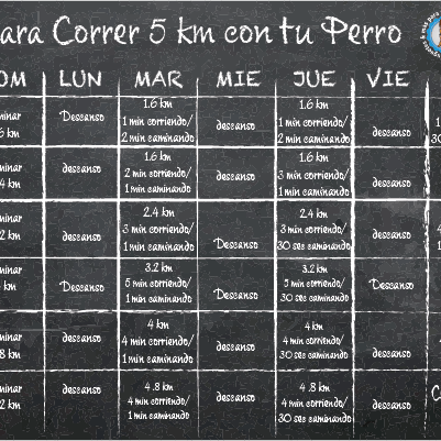 Corre 5K con tu Perro en 6 Semanas: Tips y plan de entrenamiento.