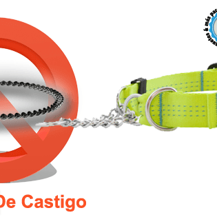 collar de castigo