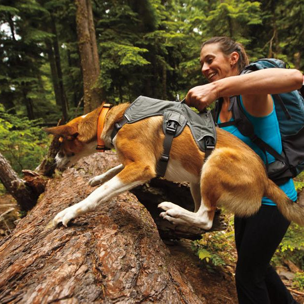 Pechera Web Master de Ruffwear®: Gran Soporte para Perros Atletas y Perros con Discapacidades Físicas