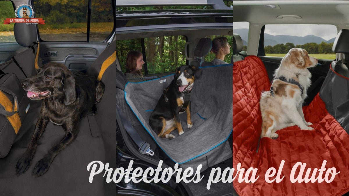 Dirtbag Seat Cover Granito - Hamaca y Cubre Asientos para Coches de Ru — La  Tienda de Frida & Chelsee