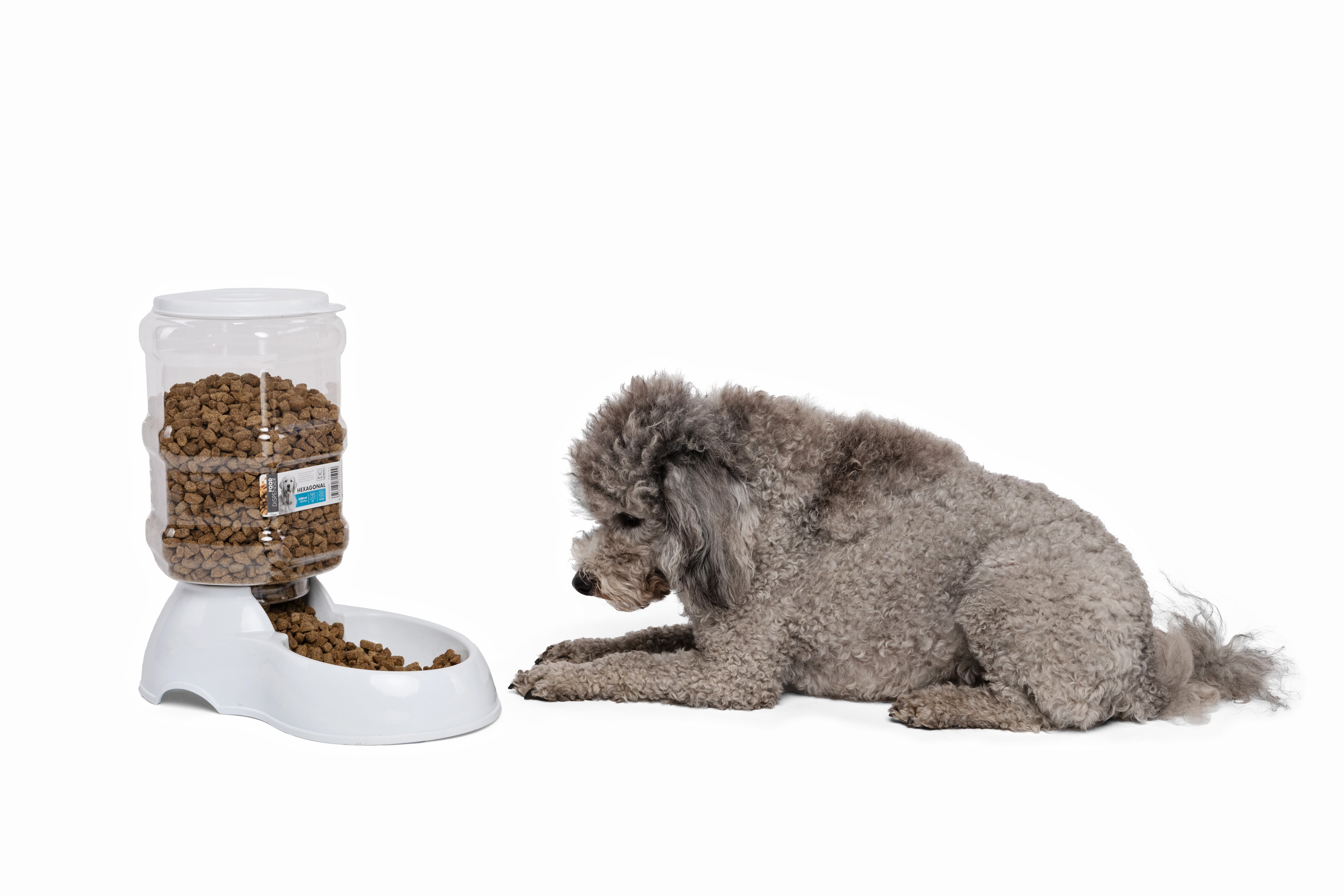 Dispensador de Alimento por Gravedad SAONE para Perros y Gatos | M‑PETS®