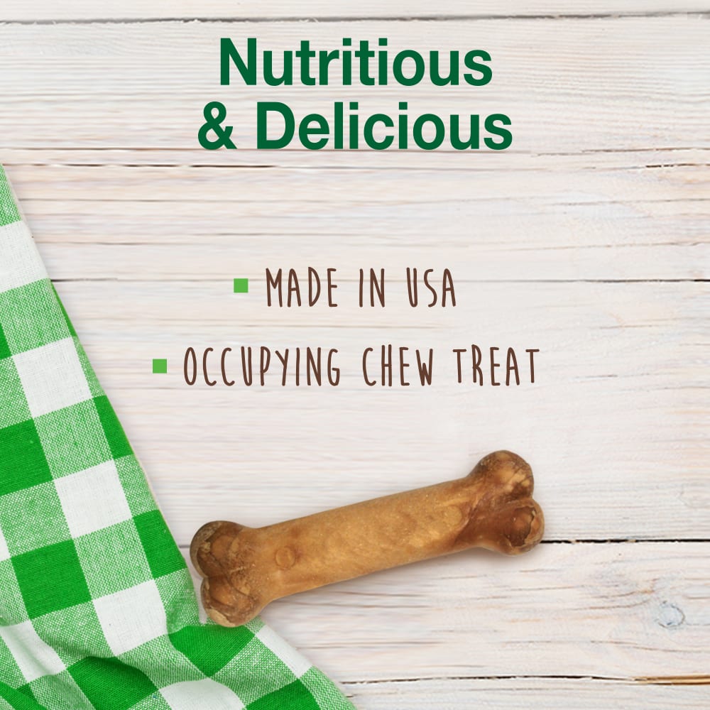 Premios Masticables Healthy Edibles Larga Duración Sabor Tocino para Perros | Nylabone