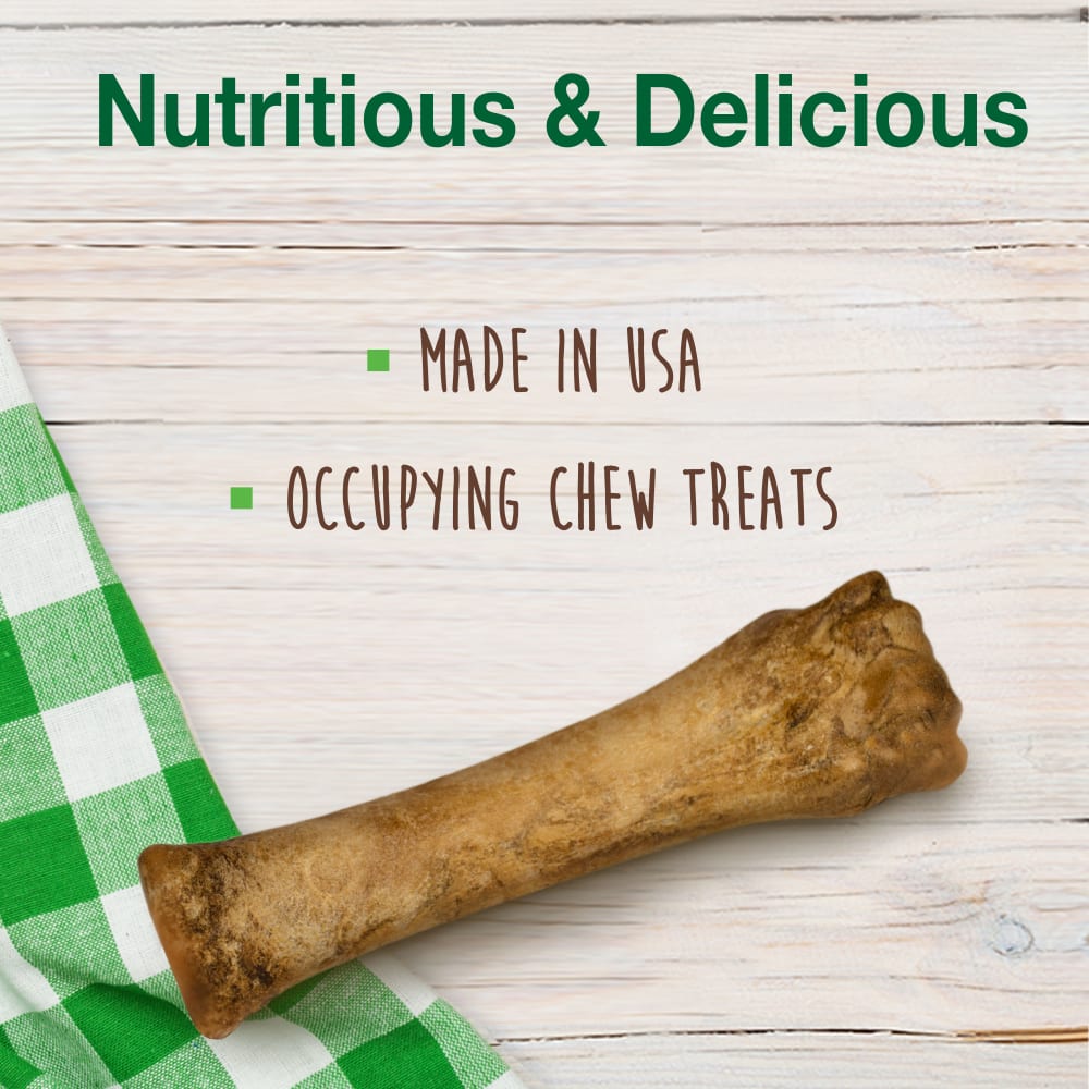Premios Masticables Healthy Edibles Larga Duración Sabor Tocino para Perros | Nylabone