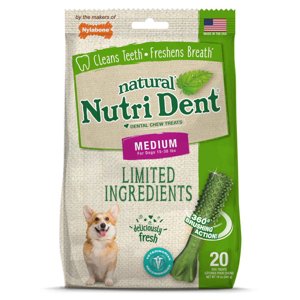 Premios Dentales Nutri Dent Naturales Sabor Aliento Fresco para Perros | Nylabone