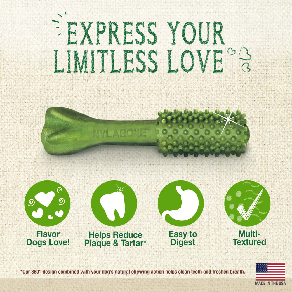 Premios Dentales Nutri Dent Naturales Sabor Aliento Fresco para Perros | Nylabone