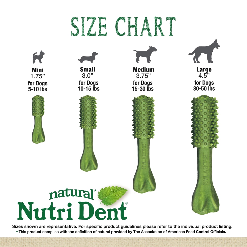 Premios Dentales Nutri Dent Naturales Sabor Aliento Fresco para Perros | Nylabone