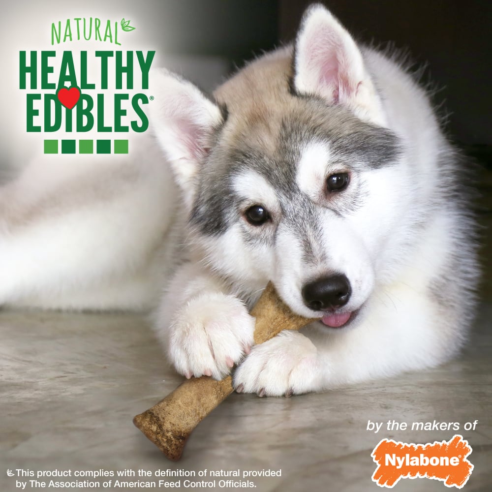 Premios Masticables Naturales Healthy Edibles Puppy Cordero y Manzana para Cachorros | Nylabone