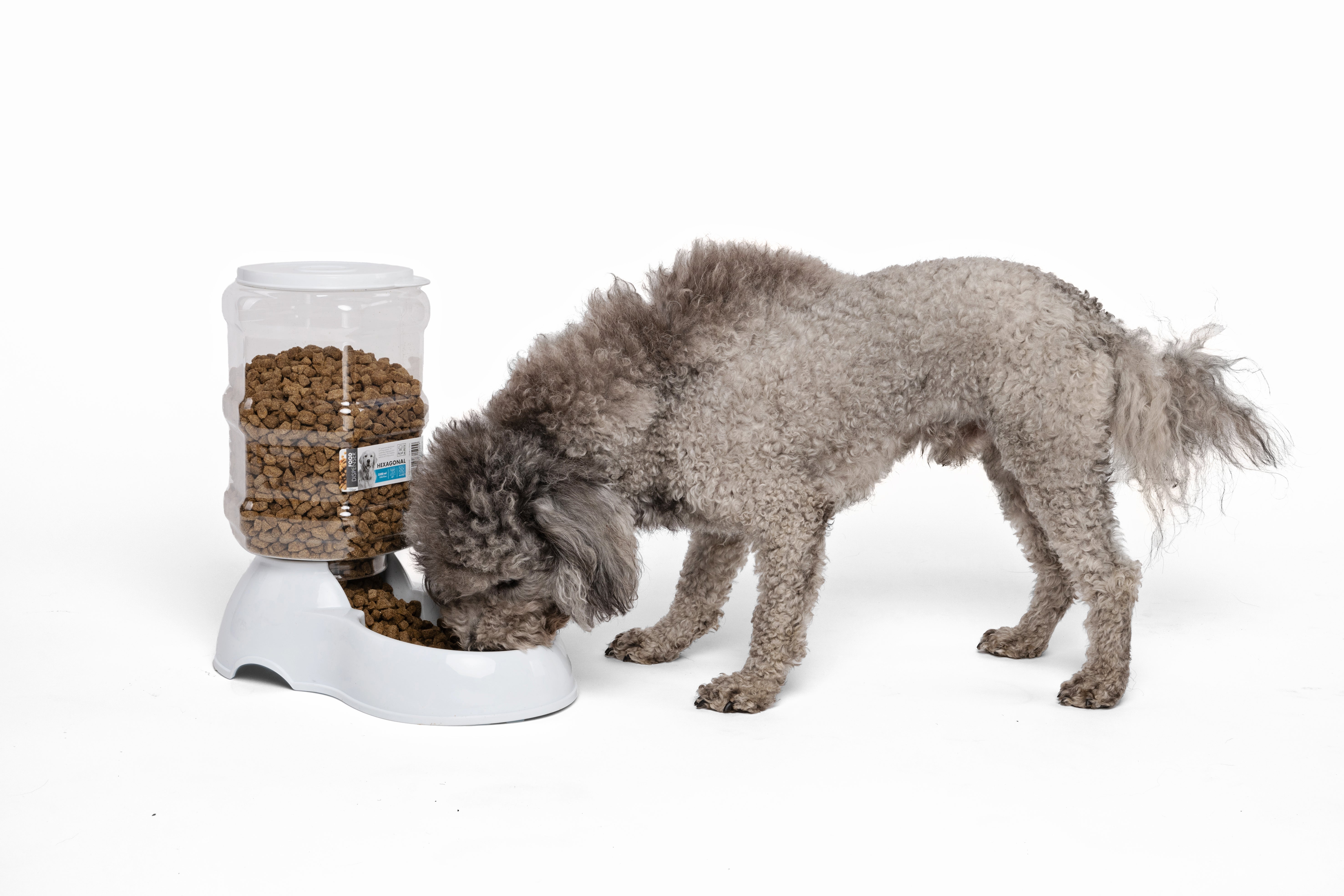 Dispensador de Alimento por Gravedad SAONE para Perros y Gatos | M‑PETS®
