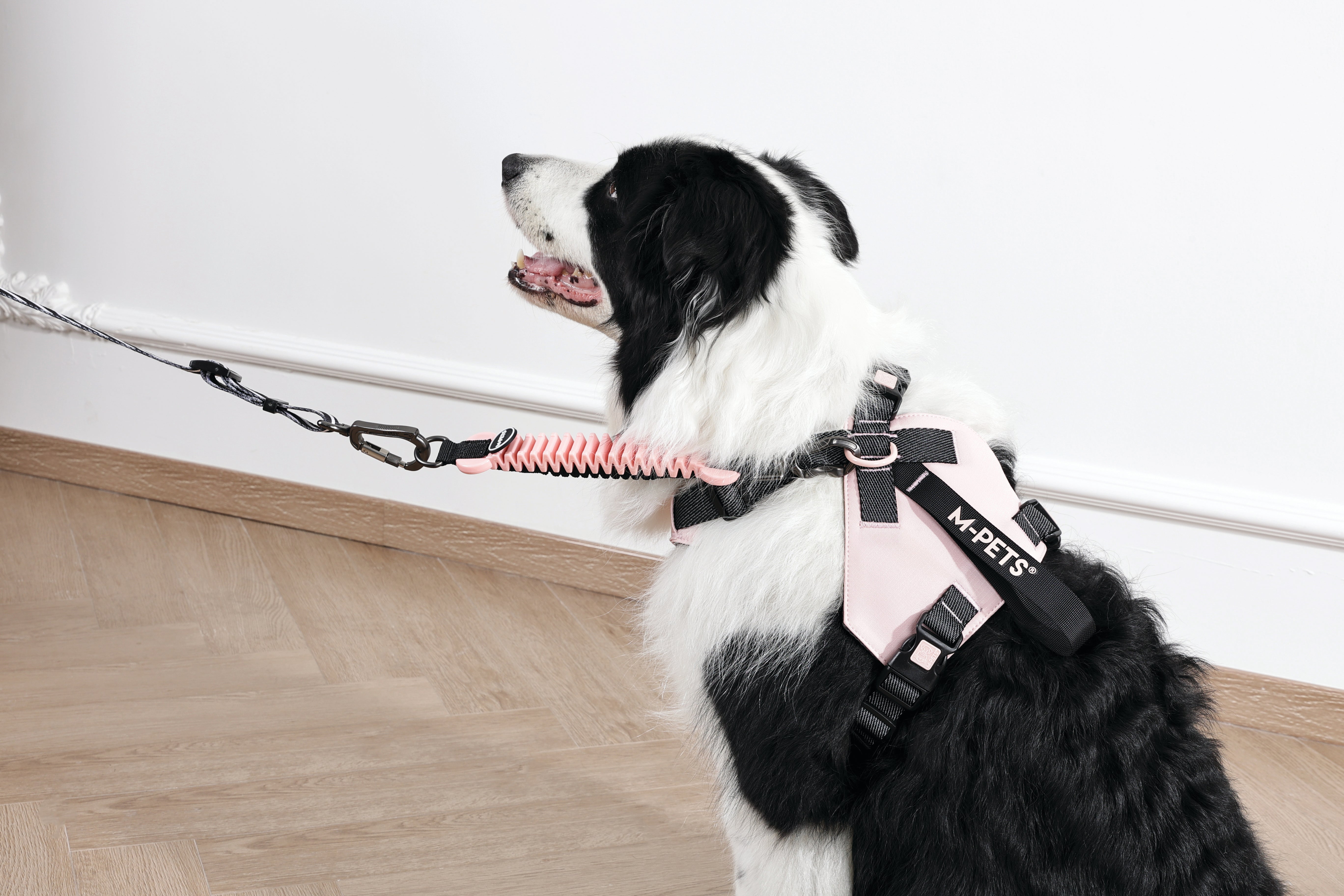 ORIGAMI Dog Harness cherry fold