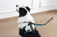 ORIGAMI Dog Harness leafy crease
