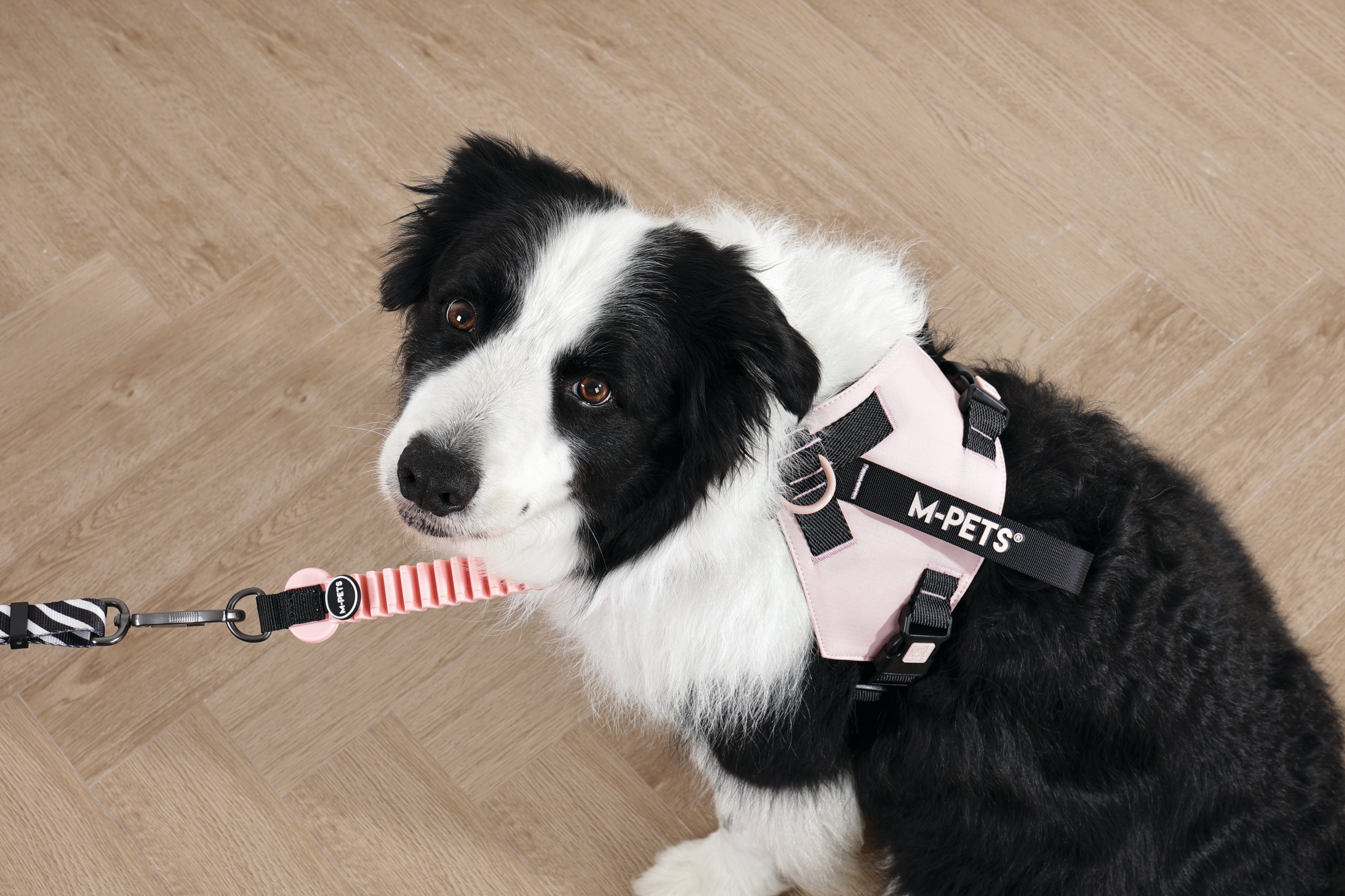 ORIGAMI Dog Harness cherry fold