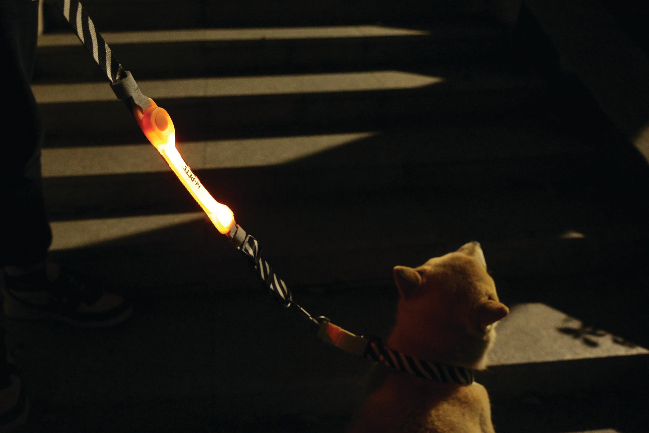 Banda LED Recargable FLASH para Perros - Naranja (Orange) | M-PETS