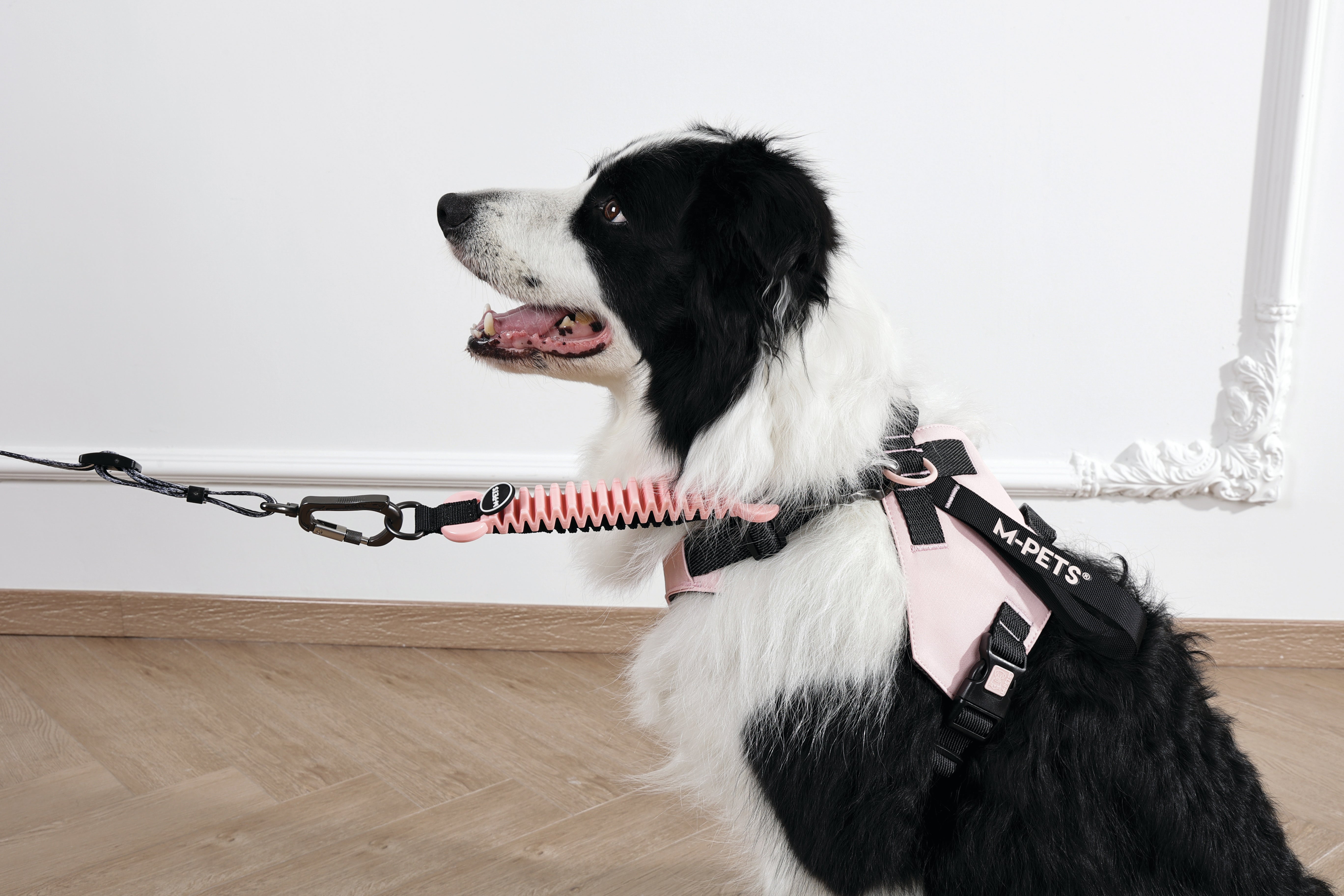 ORIGAMI Dog Harness cherry fold