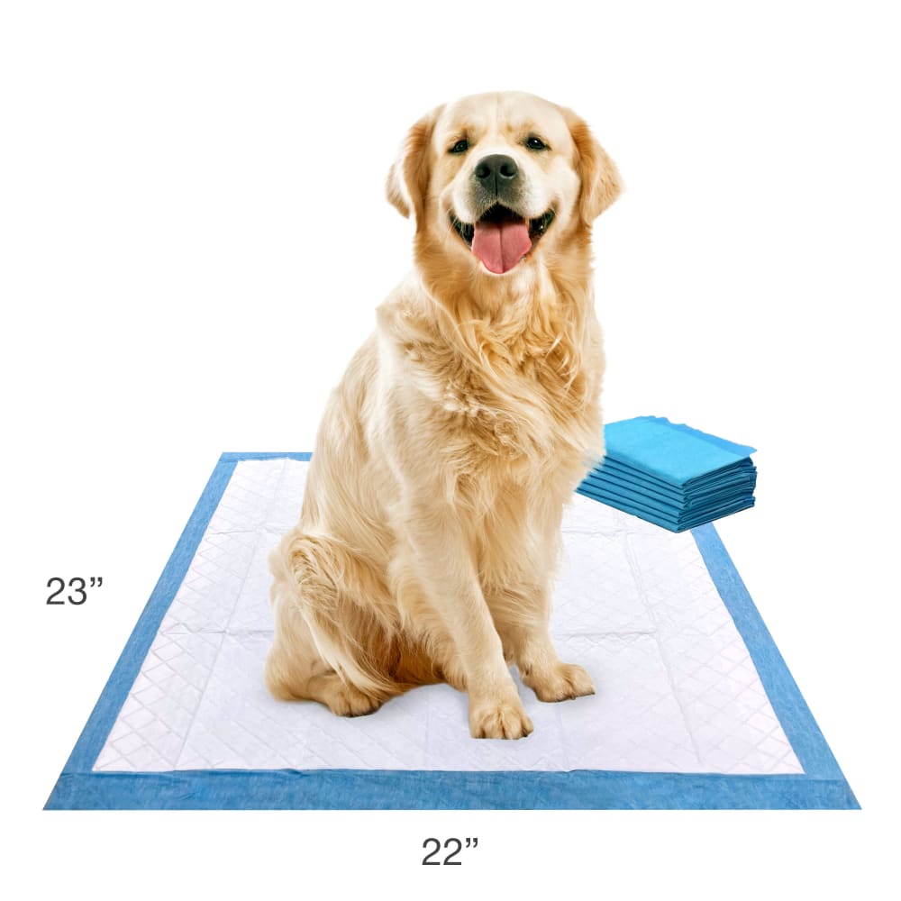 Tapete Entrenador para Perros Wee‑Wee® Pads 6 Capas – 55.9 × 58.4 cm