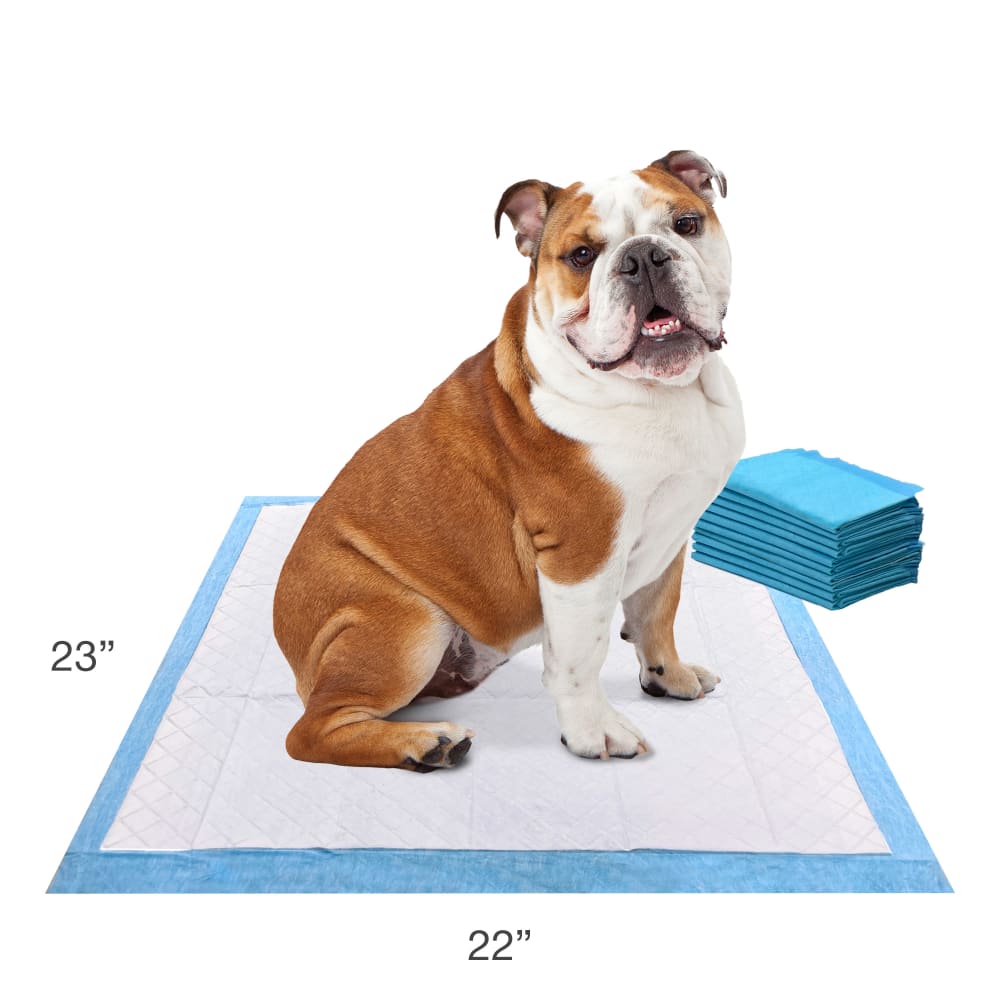 Tapete Entrenador para Perros Wee‑Wee® Pads con Febreze Freshness – 7 Capas – 55.9 × 58.4 cm