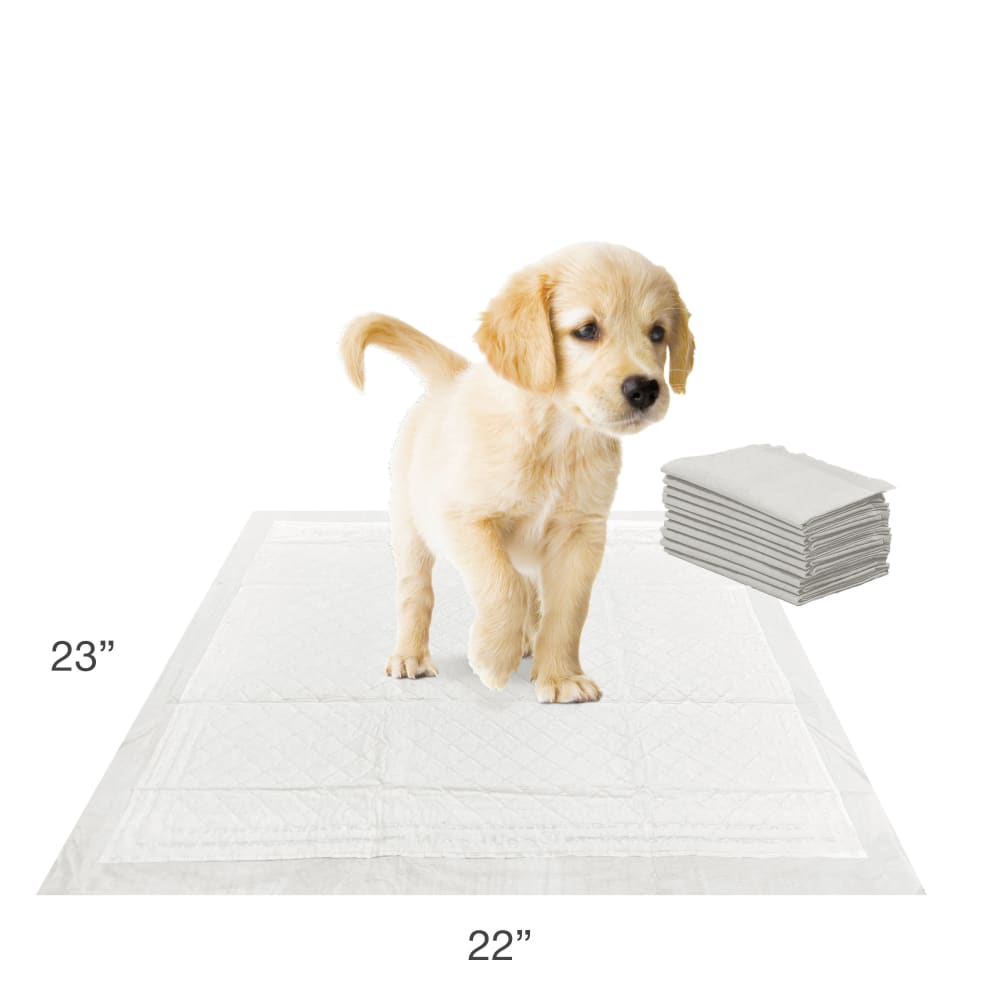 Tapete Entrenador para Perros Wee‑Wee® Pads con Insta‑Rise Border – 6 Capas – 55.9 × 58.4 cm